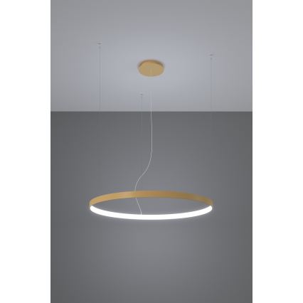 Thoro TH.181 - LED  Lustr na lanku RIO LED /50W/230V CRI 95 4000K pr. 78 cm zlatá